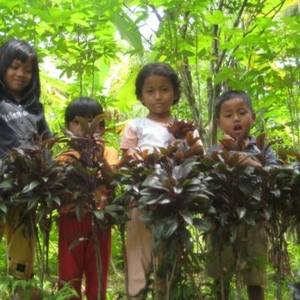 The children that we love to serve