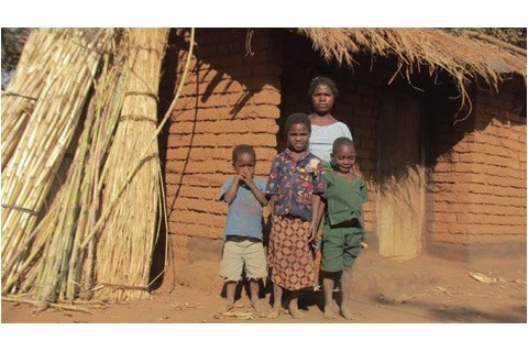 Build a House for Elina Kadzola ($1200)
