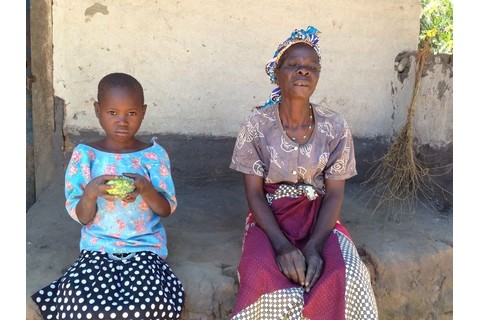 Build a House for Rosemary Kapasula ($1200)