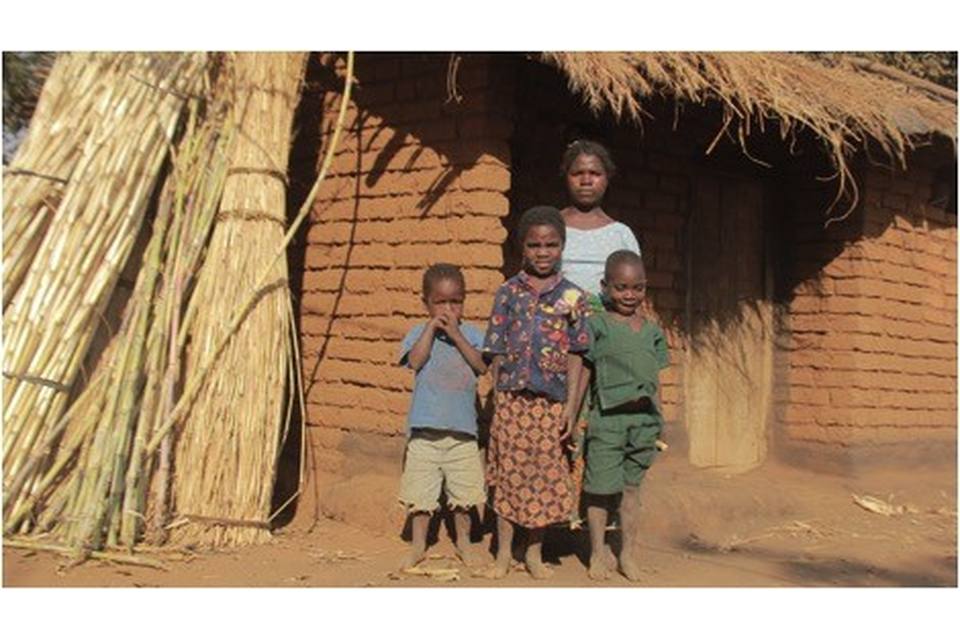Build a House for Elina Kadzola ($1200)