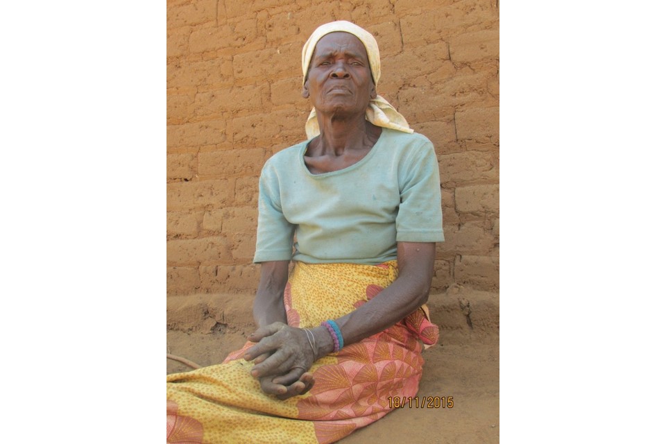 Build a House for Elina Saidani ($1200)