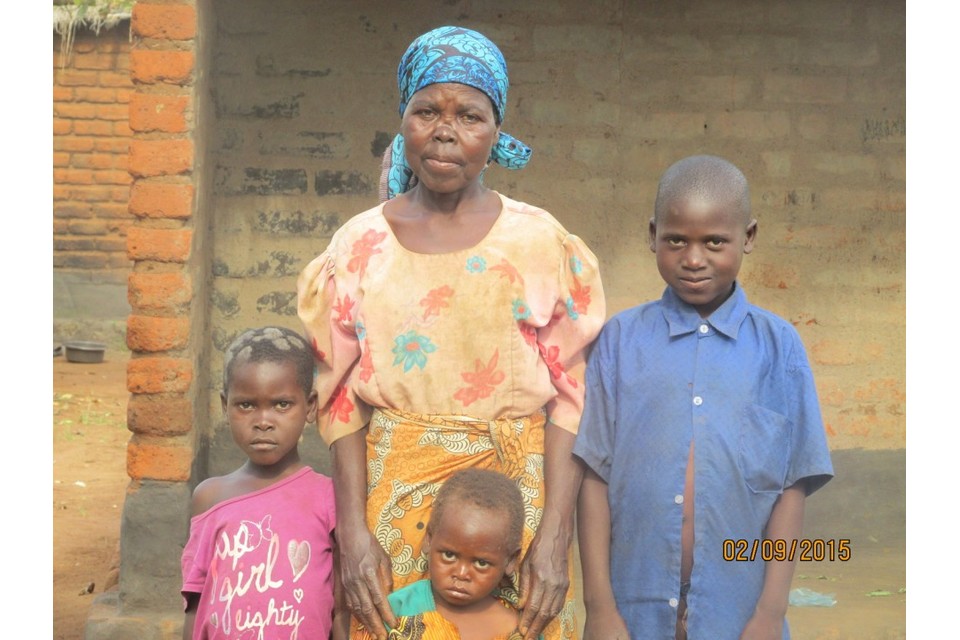 COMPLETED Build a House for Lelina Saulosi