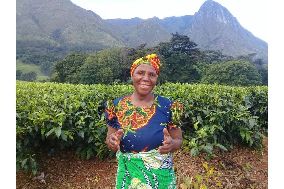 Build a House for Abigail Inglis ($1200)